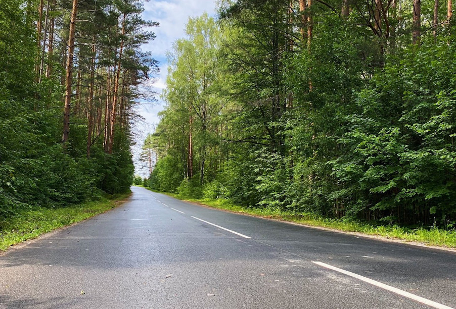 В Новгородской области обновили почти 15 км трассы Сольцы – Лубино